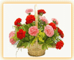 Flowers to India